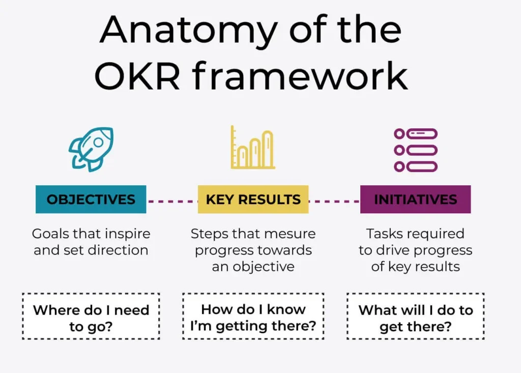 آناتومی-OKR